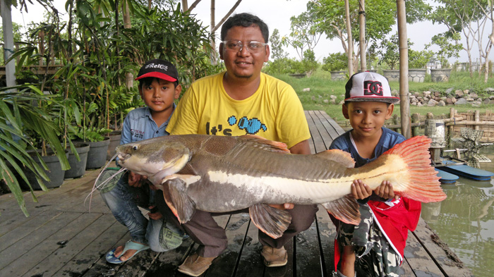 巨大魚を釣って楽しめる