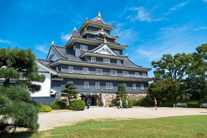 去年の夏の岡山城(アルフィ・シャフリン)?