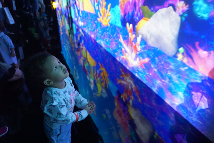 スクリーンに映った絵を物珍しそうに見つめる子ども