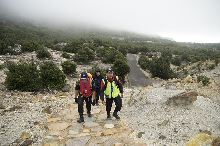 登り初めてすぐの山道