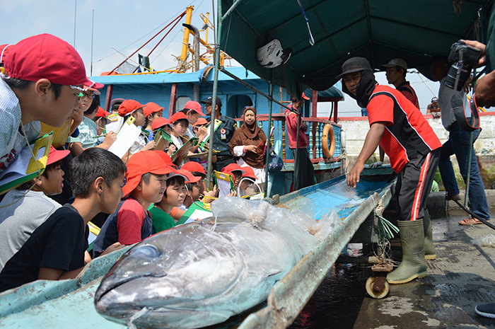 魚水揚げに興味津々　ＪＪＳの５年生１２０人　ジャカルタ漁港を見学