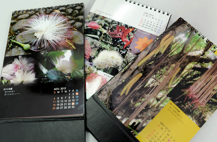 写真カレンダーを製作　　１０部を読者にプレゼント 　ボゴール植物園の魅力伝える　主婦の外村さん（※終了しました）