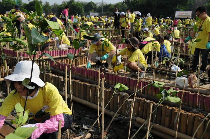 イオン環境財団２０００人が植樹　岡田名誉会長らも参加