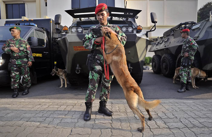 戦士の休息　軍用犬も警備演習　 