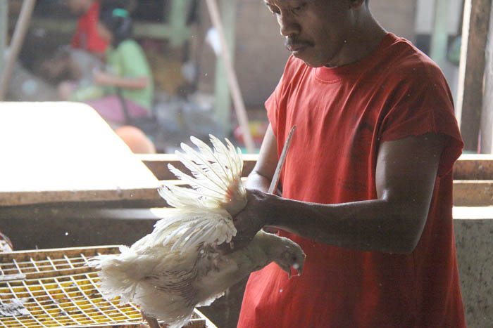 昼すぎ、市場の一角で　鶏のと殺現場ルポ