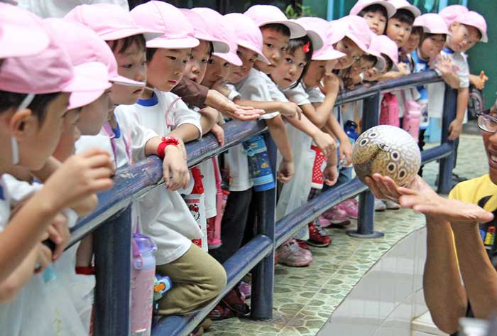 タマンミニへ遠足　水族館など見学　ＪＪＳ幼稚部