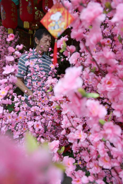 華人街赤く染まる　３１日の中国正月控え