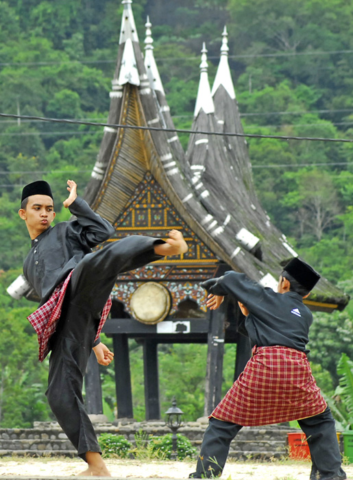 将来の武道家育つ