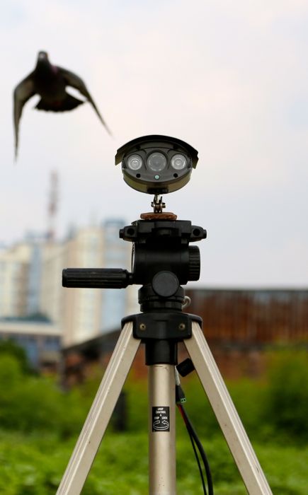 オートバイが賞品となると、カメラで正確に判定する