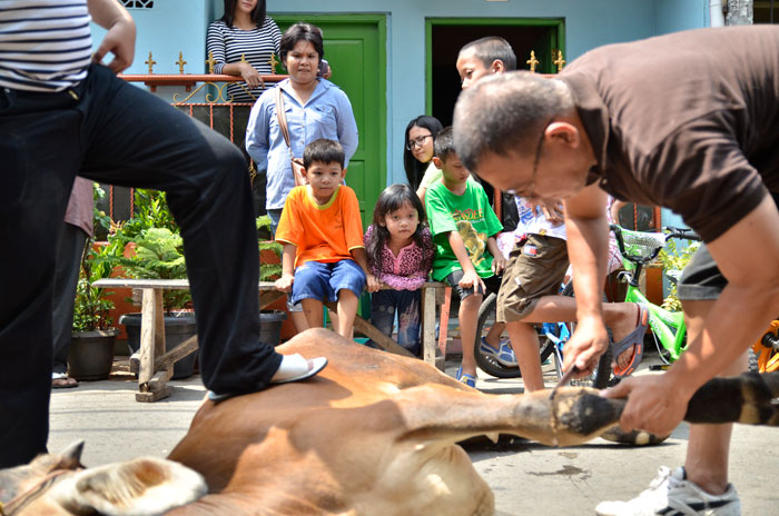 ムスリムが犠牲祭祝う　食肉処理規制に不満も