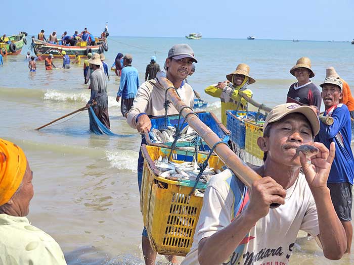 日本人が魚屋オープン　食卓に新鮮な魚を　スラバヤの和田さん