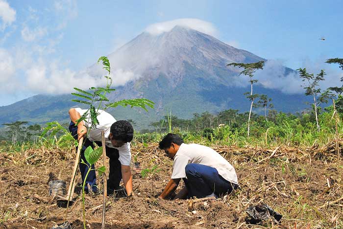 植林地の大半を焼失　住友林業　「事業継続する」　東ジャワ州のブロモ国立公園で