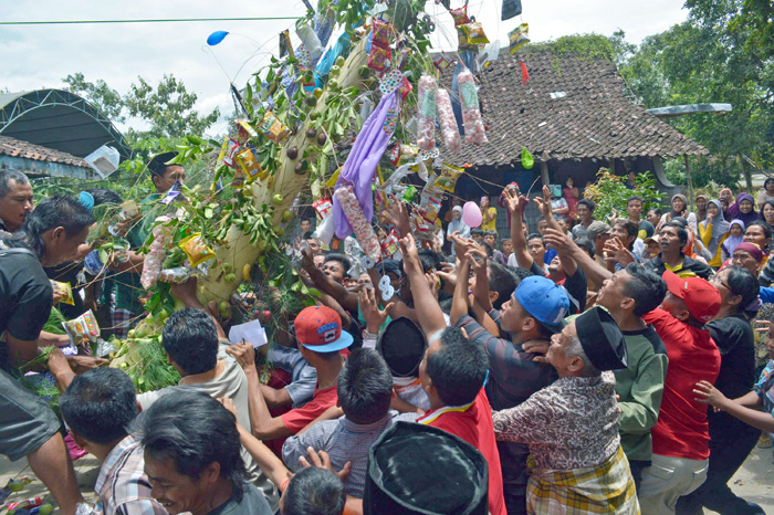 ムハンマド生誕祭を祝う　合同礼拝で祈り