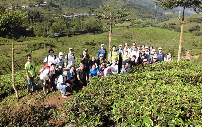 １２周年ウォークに１２０人　プンチャックで　　ジャカルタ歩く会