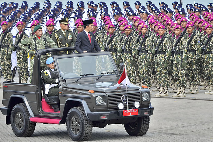 大統領が閲兵　「国の統一に貢献を」　国軍創立７０周年