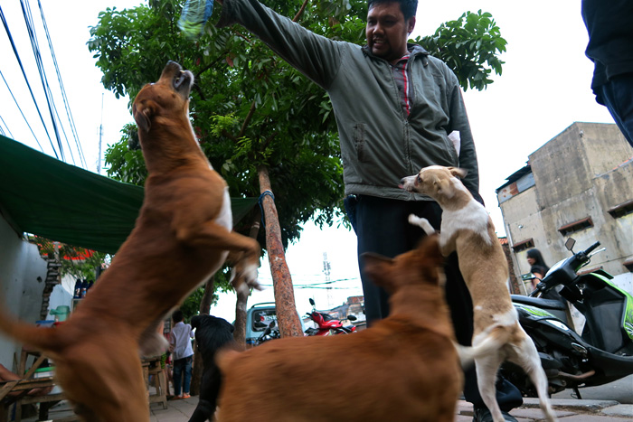 路上で食用犬販売