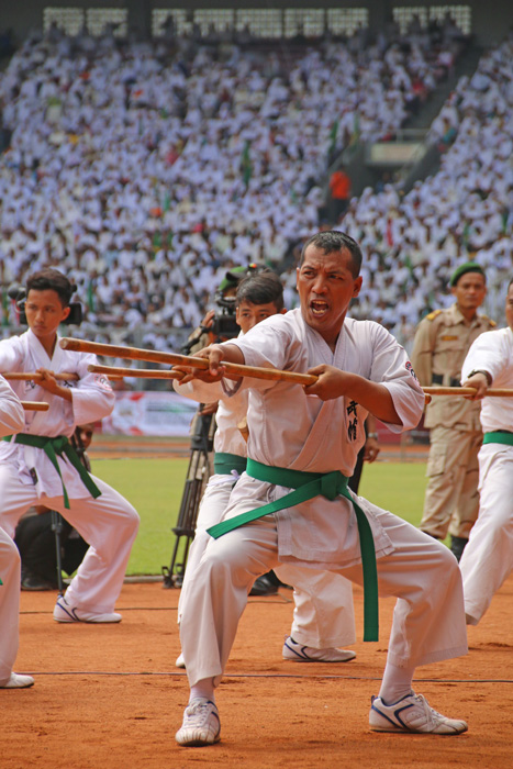 古武道を広めたい　ブンカルノで披露　日イのつながり強化