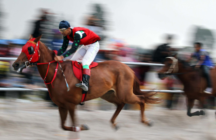 ☆アチェの競馬に７００頭
