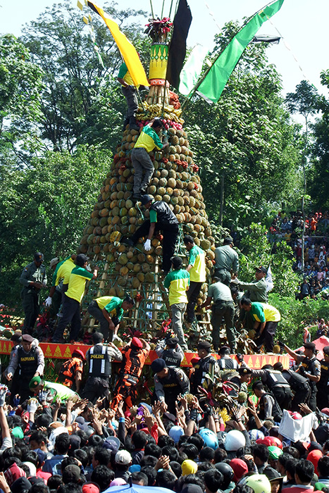 ☆ドリアンの祭りに熱狂