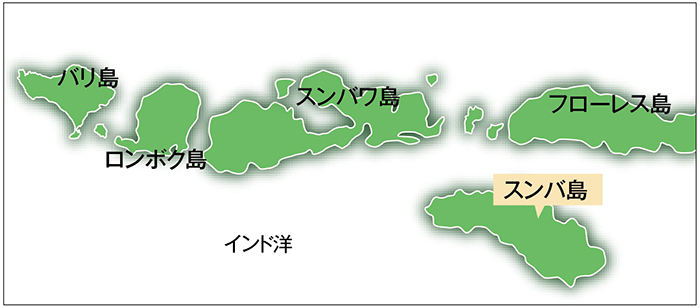 再生可能エネルギーで　スンバ島　２０年までに１００％