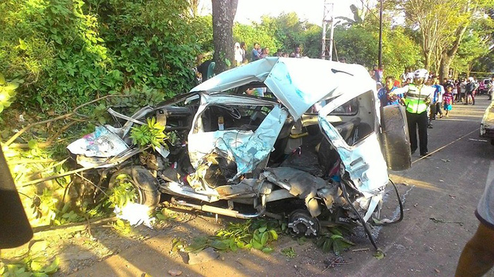 観光帰りバス横転　西ジャワ州で９人死亡