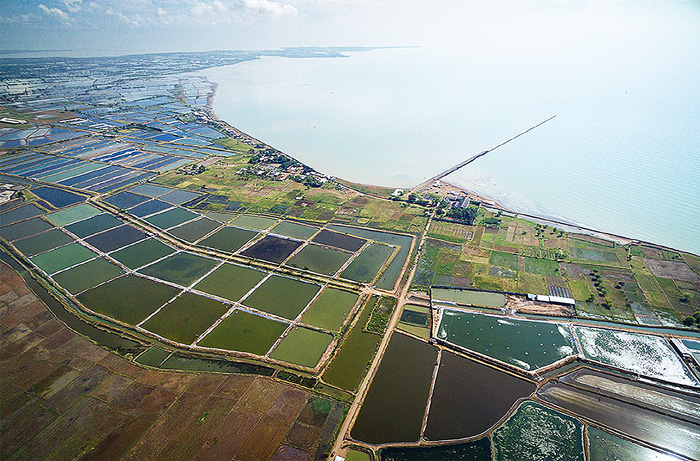 【動きだしたパティンバン（上）】漁村の土地売買加速　工業団地開発、計２０００ヘクタール　「中国人が養殖池に投資」