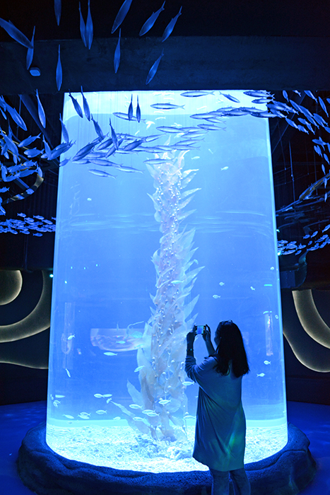 【スナンスナン】モールの中をス〜イスイ　水族館がオープン　ジャカルタ・アクアリウム