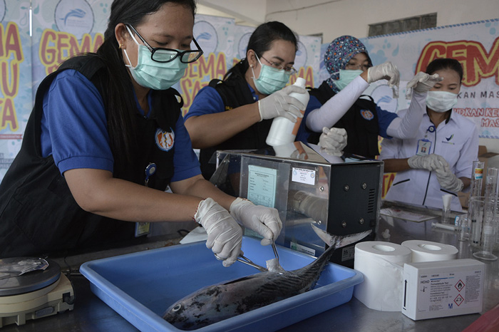 ☆魚市場で有害物質検査