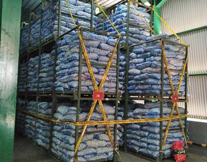 白ニンニクを大量密輸　国家警察　北ジャカルタで１８２トン押収