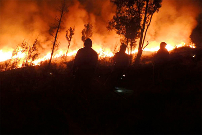 リンジャニ山で火事　約９時間後に鎮火
