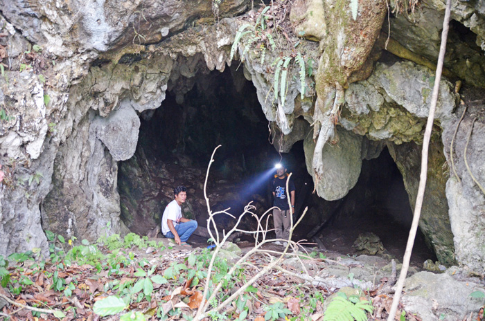 ７万年前、スマトラに　現生人類　熱帯雨林で生活