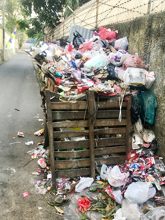 【不思議インドネシア】ネズミの害と駆除対策