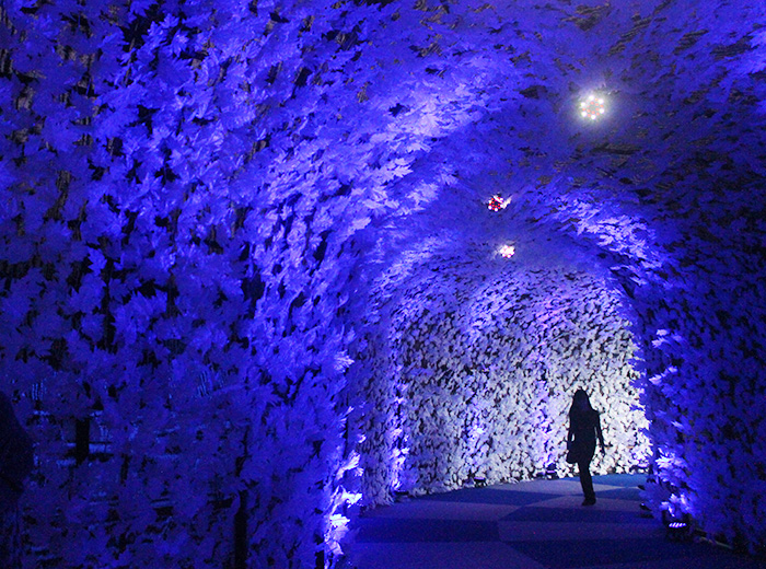 ☆雪公園の氷のトンネル