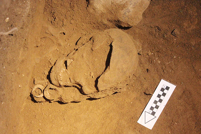 女性と釣り針を埋葬　世界最古、１万２０００年前　アロール島で発見