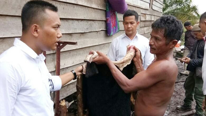 マレーグマを密猟　リアウ州で４人逮捕