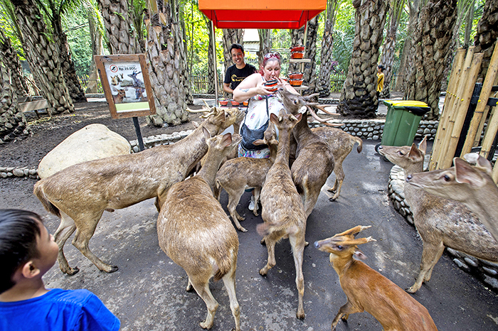 ☆バリの動物園も大盛況