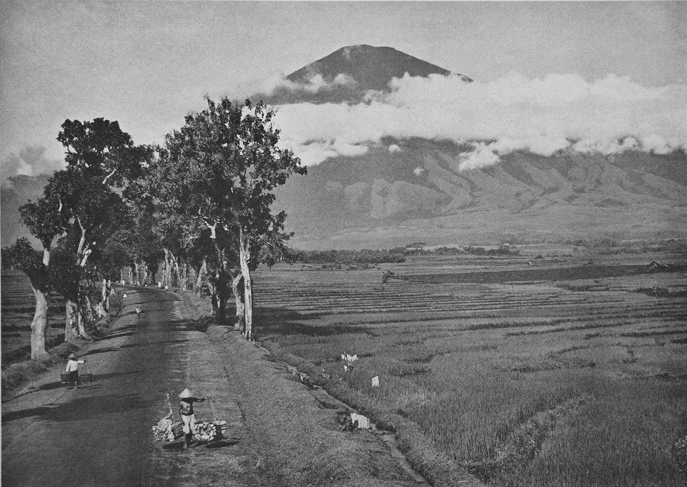写真展から
