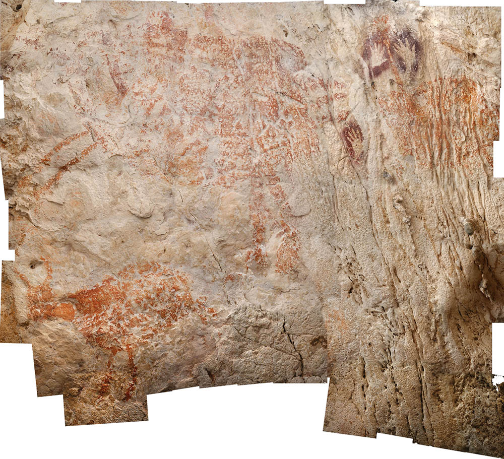 世界最古の具象画　４万年以上前と推定　東カリマンタン州