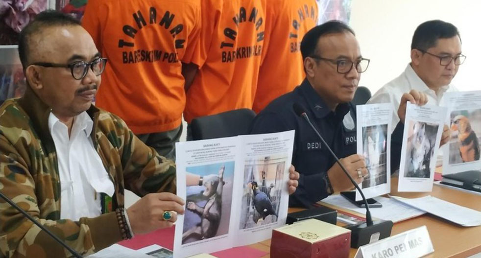 フェイスブックに広告　動物密売容疑で４人逮捕　中部ジャワ州