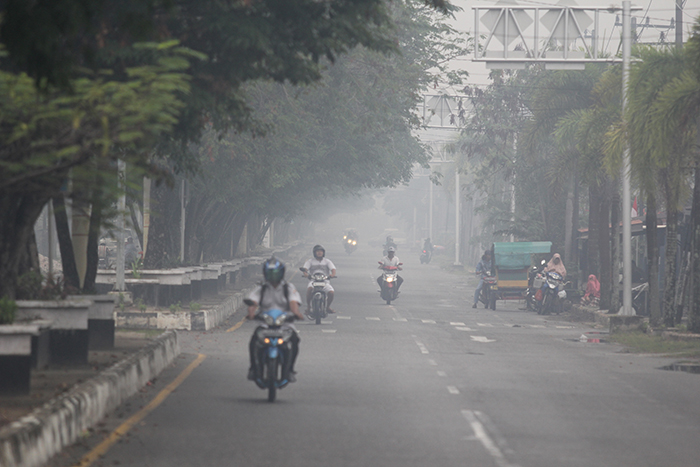 森林火災13万ヘクタールに　煙害拡大も　3800万トンＣＯ２排出