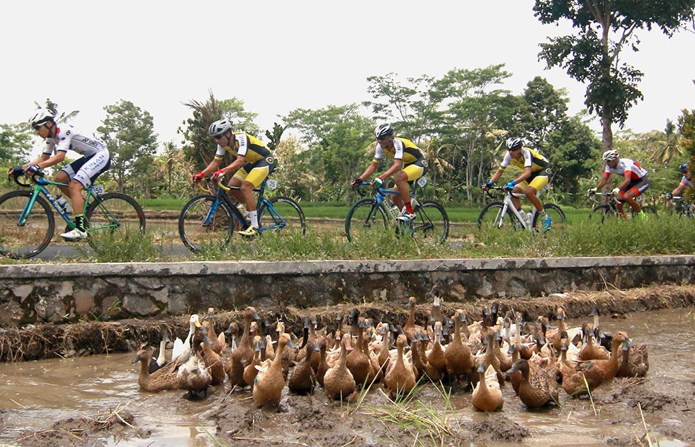 ▼自転車レース初日開幕