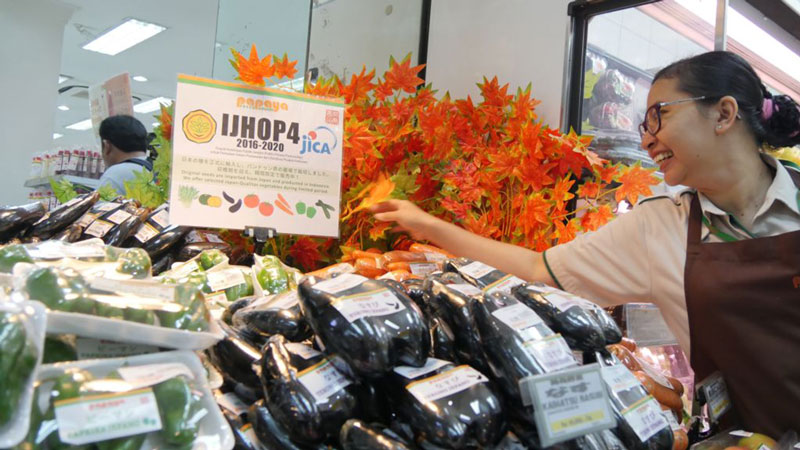 日本の野菜 ジャカルタで　ＪＩＣＡ　種輸入、販売進む