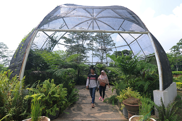 ▼中部ジャワの植物園