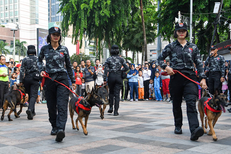 警察犬も活躍