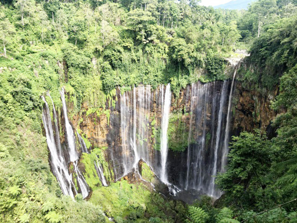 「インドネシアで最も美しい滝」　秘境「トゥンパック　セウ」　東ジャワ州ルマジャン