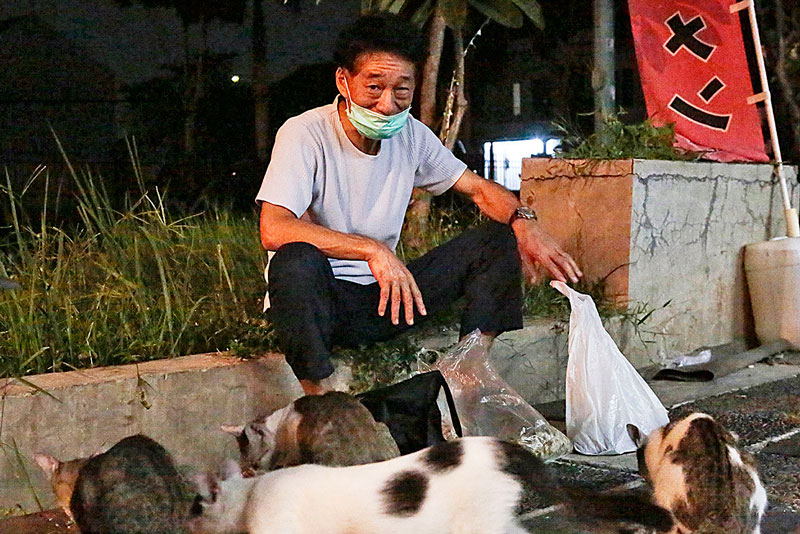 ひとり夜な夜な「猫助け」　西ジャワの在留邦人　会社帰りにパトロール