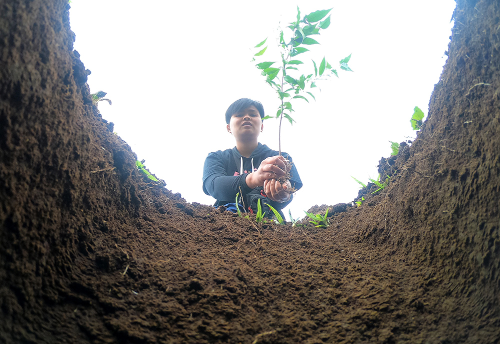 クリンチ山で植樹