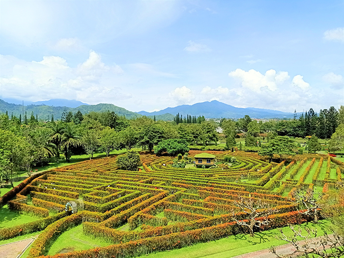 草花咲き乱れる花の庭園　チアンジュール　タマン・ブンガ・ヌサンタラ