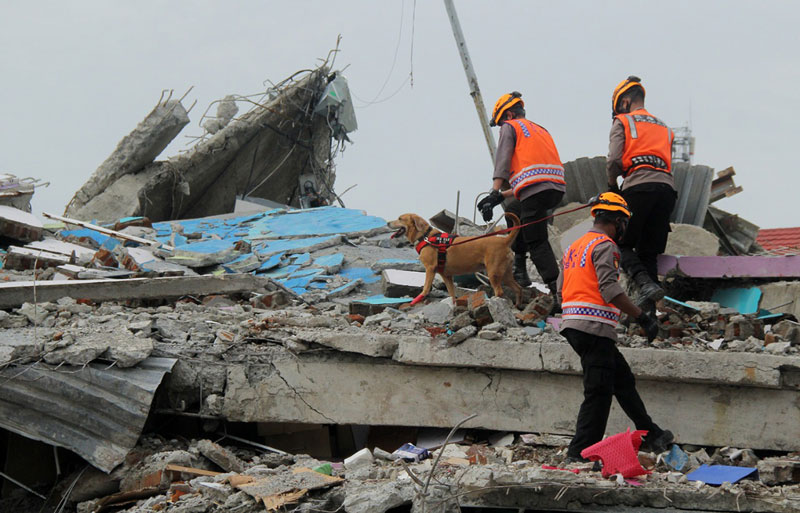 建物倒壊 避難民2.8万人　スラウェシ島西部地震　死者73人確認