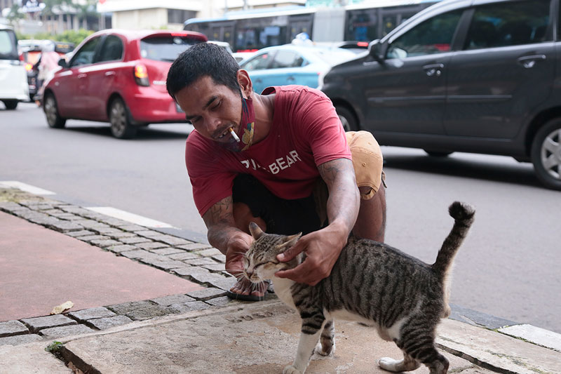 猫と龍とサリナ